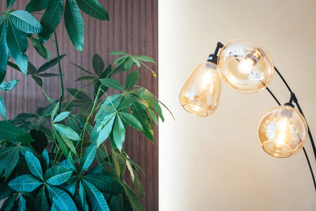 Origine Studio Decor